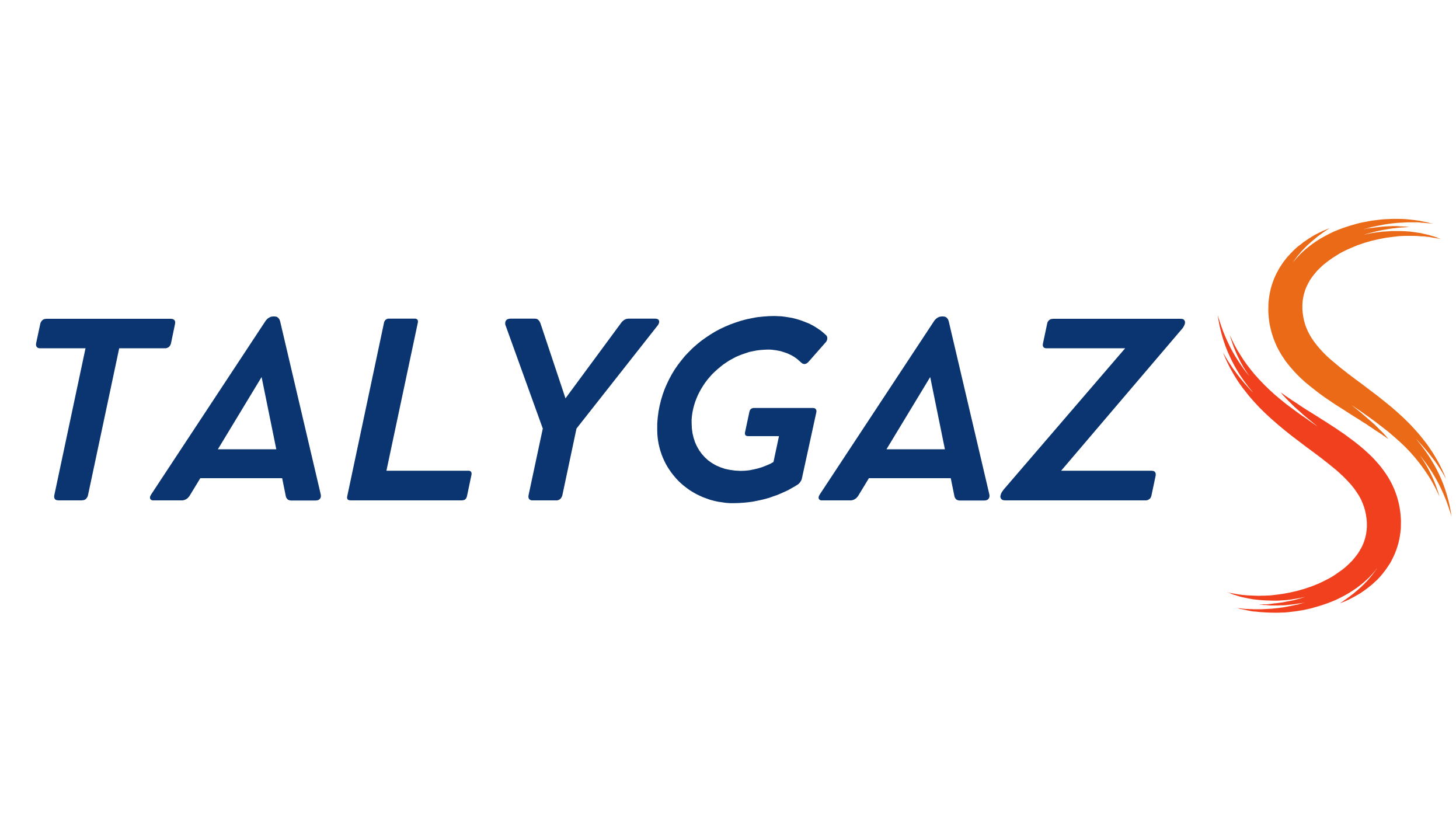 logo-TALYGAZ