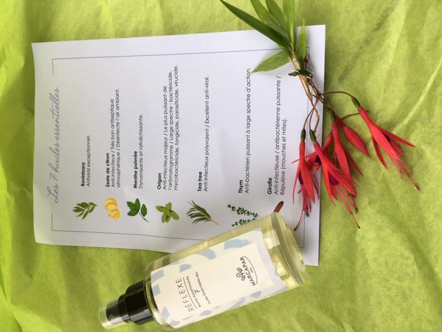 "brume assainissante"